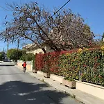 Avgi's 4* Limassol
