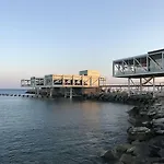 Avgi's