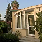Avgi's 4*