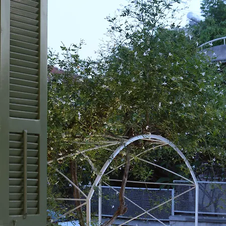 Avgi's Λεμεσός