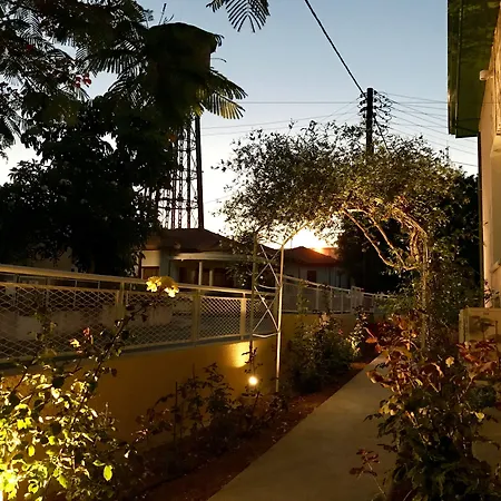Avgi's Limassol