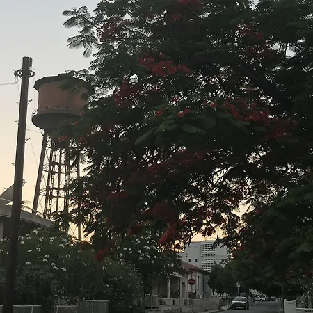 Avgi's Limassol