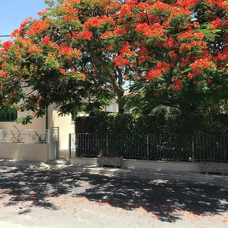 Avgi's 3* Limassol
